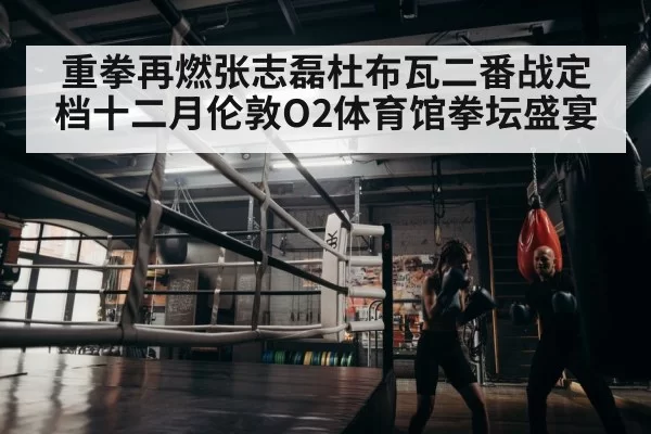 重拳再燃张志磊杜布瓦二番战定档十二月伦敦O2体育馆拳坛盛宴