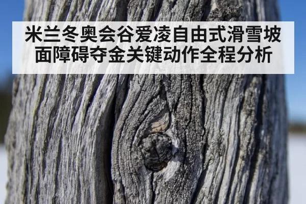 米兰冬奥会谷爱凌自由式滑雪坡面障碍夺金关键动作全程分析